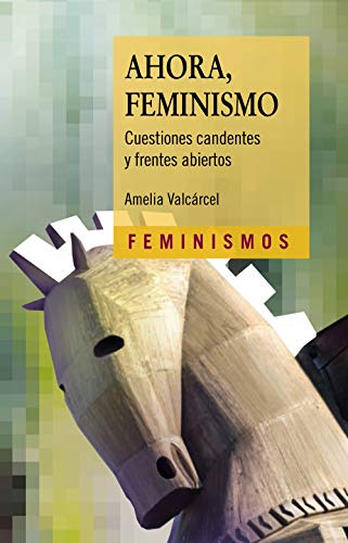 Ahora, Feminismo: Cuestiones candentes y frentes abiertos (Feminismos)